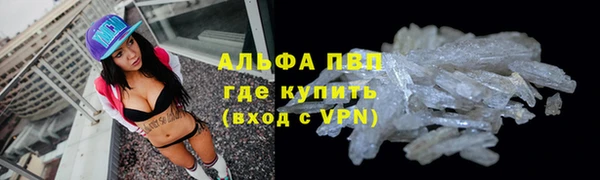 PSILOCYBIN Армянск