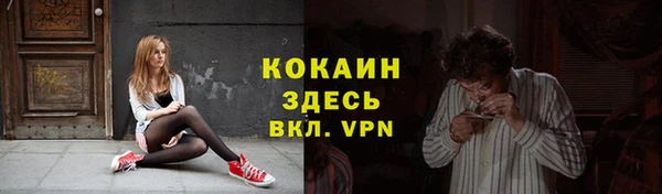 сатива Аркадак
