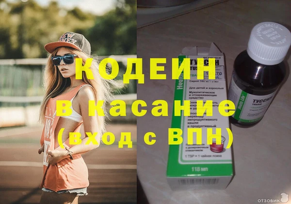 сатива Аркадак
