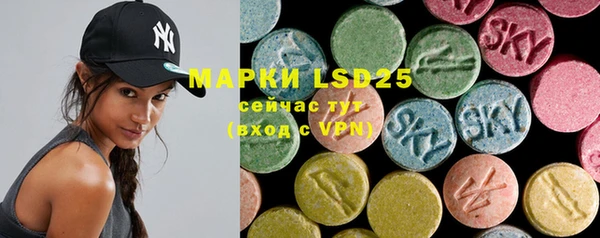 PSILOCYBIN Армянск