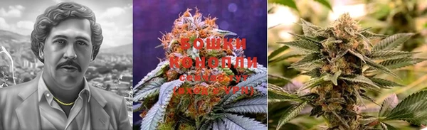 PSILOCYBIN Армянск