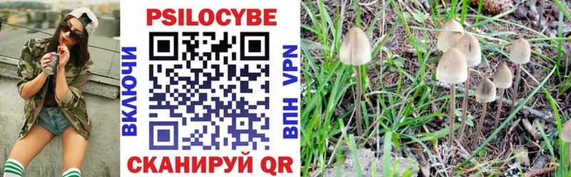 Галлюциногенные грибы MAGIC MUSHROOMS  Шацк 