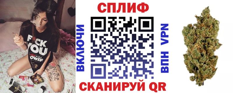 Каннабис семена  блэк спрут маркетплейс  Шацк 